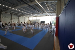 STAGE-ENFANTS-ET-BABY-KARATE-18MAI2025-60