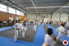 STAGE-ENFANTS-ET-BABY-KARATE-18MAI2025-61