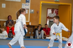 STAGE-ENFANTS-ET-BABY-KARATE-18MAI2025-65