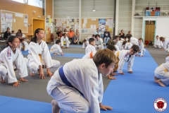 STAGE-ENFANTS-ET-BABY-KARATE-18MAI2025-68