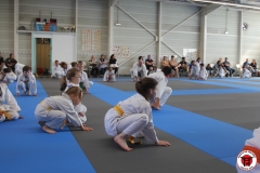 STAGE-ENFANTS-ET-BABY-KARATE-18MAI2025-69