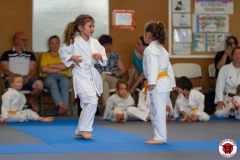 STAGE-ENFANTS-ET-BABY-KARATE-18MAI2025-70