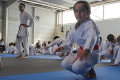STAGE-ENFANTS-ET-BABY-KARATE-18MAI2025-71