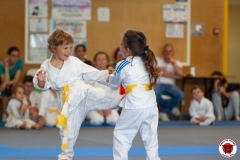 STAGE-ENFANTS-ET-BABY-KARATE-18MAI2025-72