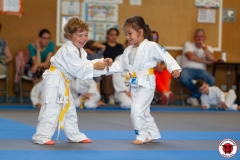 STAGE-ENFANTS-ET-BABY-KARATE-18MAI2025-73