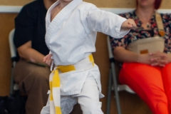 STAGE-ENFANTS-ET-BABY-KARATE-18MAI2025-74