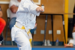 STAGE-ENFANTS-ET-BABY-KARATE-18MAI2025-76