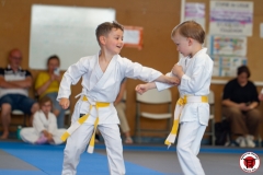 STAGE-ENFANTS-ET-BABY-KARATE-18MAI2025-79