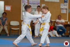 STAGE-ENFANTS-ET-BABY-KARATE-18MAI2025-80