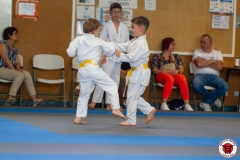 STAGE-ENFANTS-ET-BABY-KARATE-18MAI2025-81