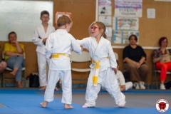 STAGE-ENFANTS-ET-BABY-KARATE-18MAI2025-82