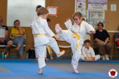 STAGE-ENFANTS-ET-BABY-KARATE-18MAI2025-83