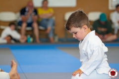 STAGE-ENFANTS-ET-BABY-KARATE-18MAI2025-95