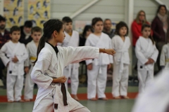 20230115-YAMATOKAN-STAGE-ENFANTS-007