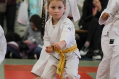 20230115-YAMATOKAN-STAGE-ENFANTS-008