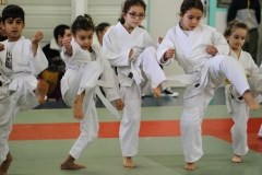 20230115-YAMATOKAN-STAGE-ENFANTS-023