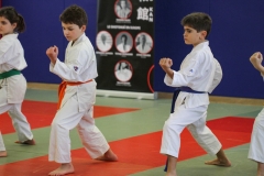 20230115-YAMATOKAN-STAGE-ENFANTS-029