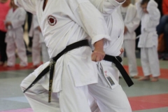 20230115-YAMATOKAN-STAGE-ENFANTS-049