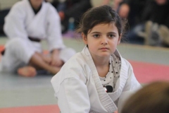 20230115-YAMATOKAN-STAGE-ENFANTS-073