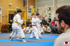 YAMATO-KAN-KARATE-DO-SHOTOKAI-STAGE-ENFANT-2025-01-26-169