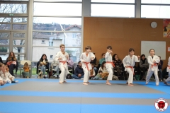 YAMATO-KAN-KARATE-DO-SHOTOKAI-STAGE-ENFANT-2025-01-26-172