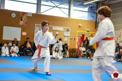 YAMATO-KAN-KARATE-DO-SHOTOKAI-STAGE-ENFANT-2025-01-26-173