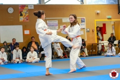 YAMATO-KAN-KARATE-DO-SHOTOKAI-STAGE-ENFANT-2025-01-26-174