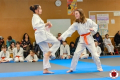 YAMATO-KAN-KARATE-DO-SHOTOKAI-STAGE-ENFANT-2025-01-26-175