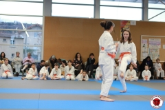 YAMATO-KAN-KARATE-DO-SHOTOKAI-STAGE-ENFANT-2025-01-26-176