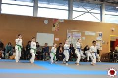 YAMATO-KAN-KARATE-DO-SHOTOKAI-STAGE-ENFANT-2025-01-26-177