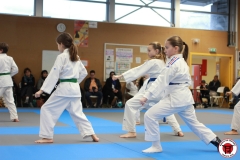 YAMATO-KAN-KARATE-DO-SHOTOKAI-STAGE-ENFANT-2025-01-26-178