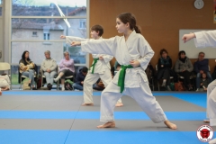 YAMATO-KAN-KARATE-DO-SHOTOKAI-STAGE-ENFANT-2025-01-26-179