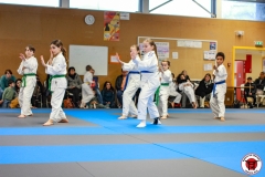YAMATO-KAN-KARATE-DO-SHOTOKAI-STAGE-ENFANT-2025-01-26-180