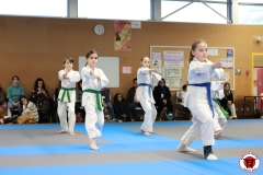 YAMATO-KAN-KARATE-DO-SHOTOKAI-STAGE-ENFANT-2025-01-26-181