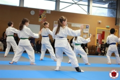 YAMATO-KAN-KARATE-DO-SHOTOKAI-STAGE-ENFANT-2025-01-26-182