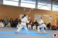 YAMATO-KAN-KARATE-DO-SHOTOKAI-STAGE-ENFANT-2025-01-26-186