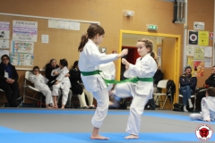 YAMATO-KAN-KARATE-DO-SHOTOKAI-STAGE-ENFANT-2025-01-26-188