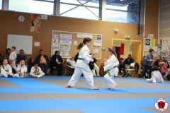 YAMATO-KAN-KARATE-DO-SHOTOKAI-STAGE-ENFANT-2025-01-26-189