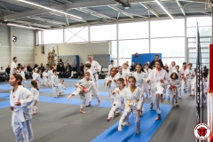 YAMATO-KAN-KARATE-DO-SHOTOKAI-STAGE-ENFANT-2025-01-26-49