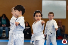 YAMATO-KAN-KARATE-DO-SHOTOKAI-STAGE-ENFANT-2025-01-26-52