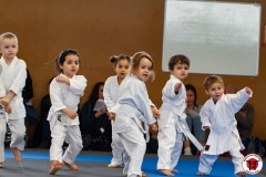 YAMATO-KAN-KARATE-DO-SHOTOKAI-STAGE-ENFANT-2025-01-26-53