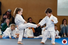 YAMATO-KAN-KARATE-DO-SHOTOKAI-STAGE-ENFANT-2025-01-26-56
