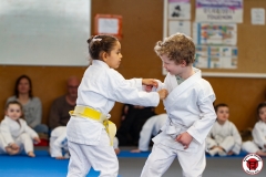 YAMATO-KAN-KARATE-DO-SHOTOKAI-STAGE-ENFANT-2025-01-26-57