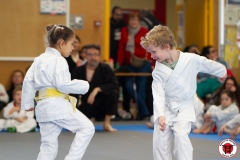 YAMATO-KAN-KARATE-DO-SHOTOKAI-STAGE-ENFANT-2025-01-26-58