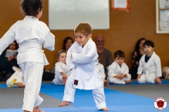 YAMATO-KAN-KARATE-DO-SHOTOKAI-STAGE-ENFANT-2025-01-26-59