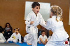 YAMATO-KAN-KARATE-DO-SHOTOKAI-STAGE-ENFANT-2025-01-26-62