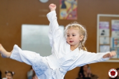 YAMATO-KAN-KARATE-DO-SHOTOKAI-STAGE-ENFANT-2025-01-26-63