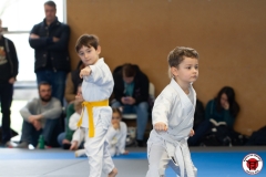 YAMATO-KAN-KARATE-DO-SHOTOKAI-STAGE-ENFANT-2025-01-26-65