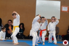 YAMATO-KAN-KARATE-DO-SHOTOKAI-STAGE-ENFANT-2025-01-26-67