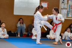 YAMATO-KAN-KARATE-DO-SHOTOKAI-STAGE-ENFANT-2025-01-26-72